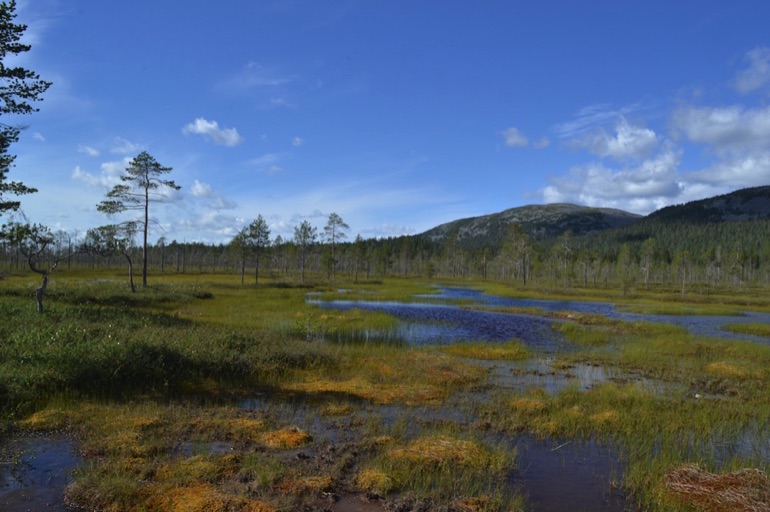 Aapa mire, Pyhä-Luosto National Park